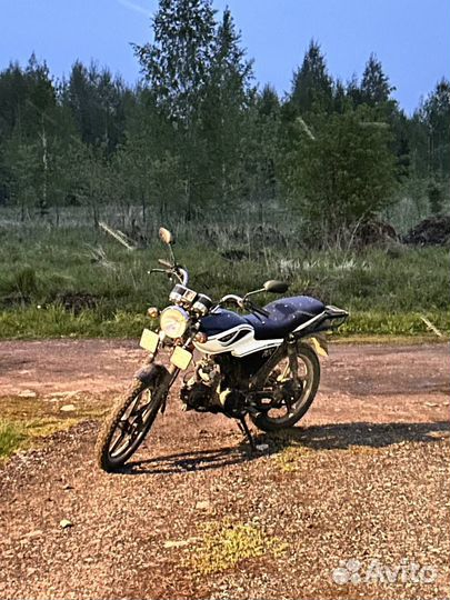 Альф рх 125