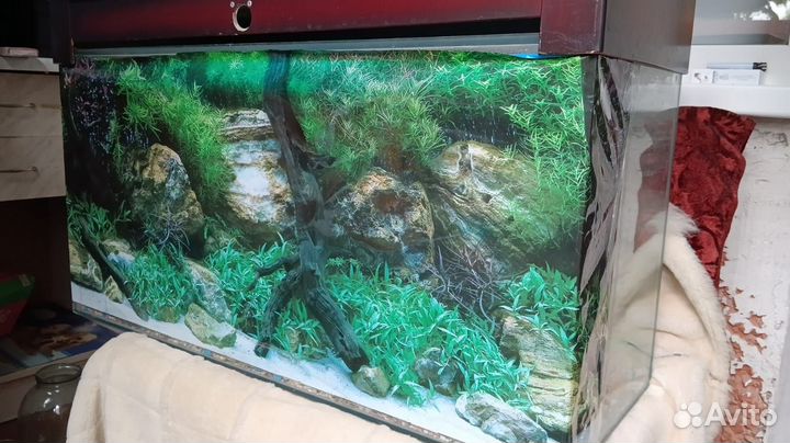 Аквариум 100 л