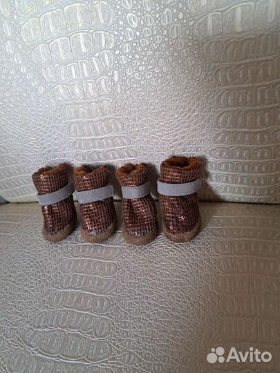 Обувь для маленьких собак