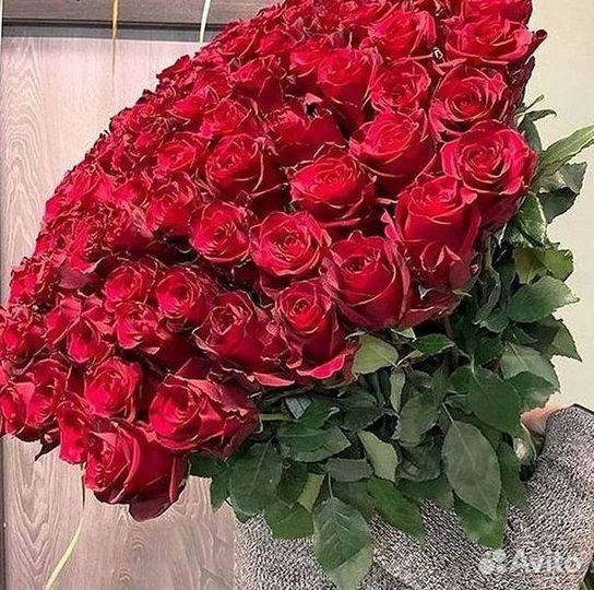 51 Роза, Букеты Цветы Розы 25 101 501 1001