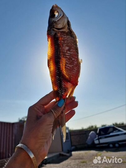 Астраханская вяленая вобла