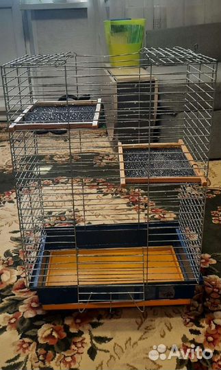 Клетка для грызунов очень большая