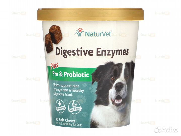 Пищеварительные ферменты, пре- и пробиотики