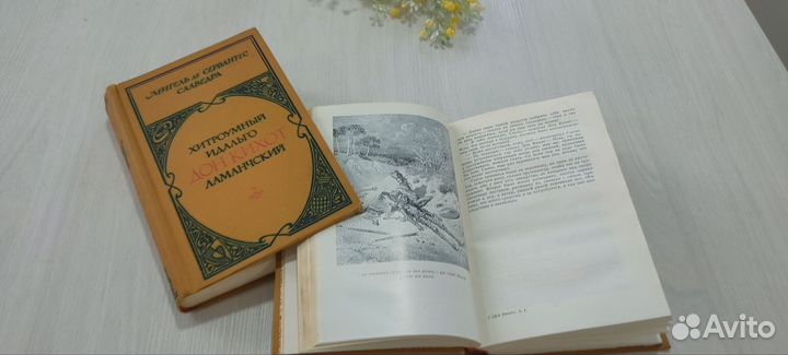 Книги Мигель де Сервантес Сааведра Донкихот