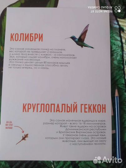 Пособия для развития детей