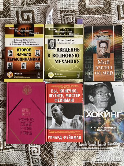 Физика: Хокинг, Фейнман, Шредингер и др