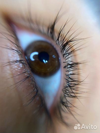 Ламинирование ресниц и бровей