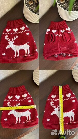 Одежда и обувь для маленькой собачки, разное