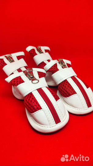 Ботинки для собак