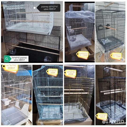 Клетка от маленькой до большой