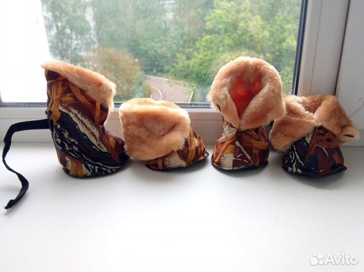 Новая обувь для крупной собаки