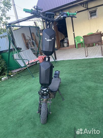 White siberia nerpa 3200