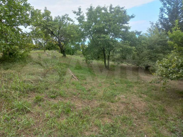 Участок 6000 м² (Абхазия)