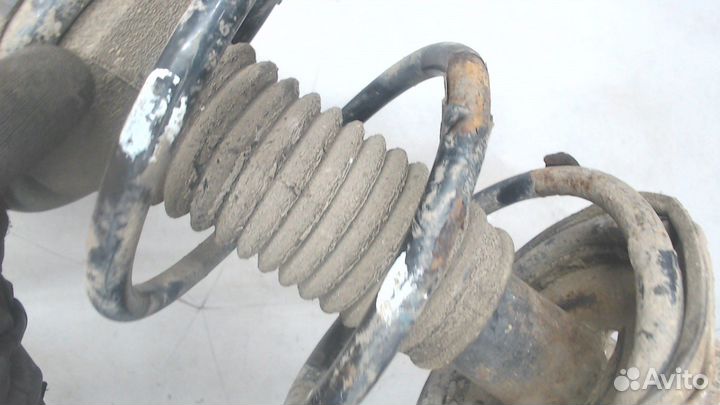 Амортизатор подвески Toyota Corolla Verso, 2005