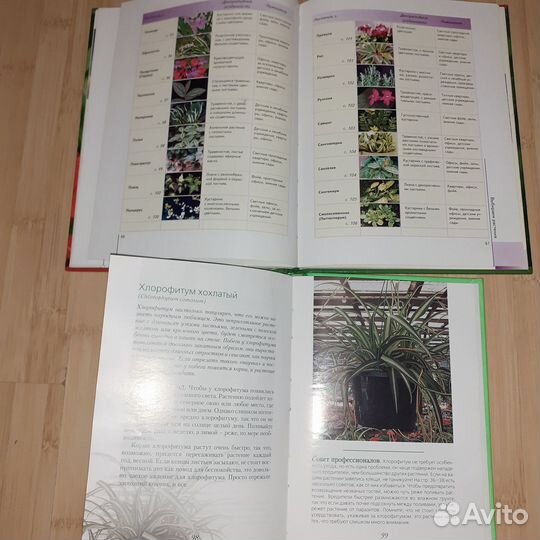 Библиотечка лекарственных растений, комнатные раст