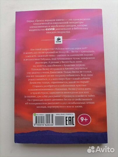 Книги Около музыки, Солнце тоже звезда, В самолёте