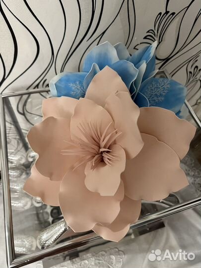 Магнолия цветы