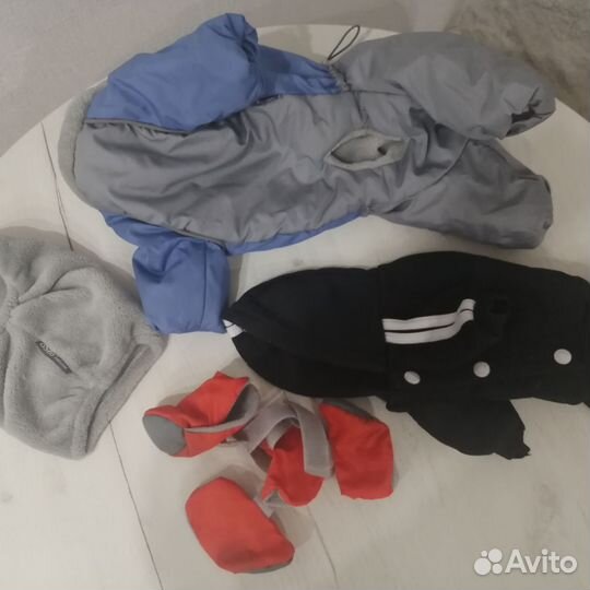 Одежда для маленьких собак