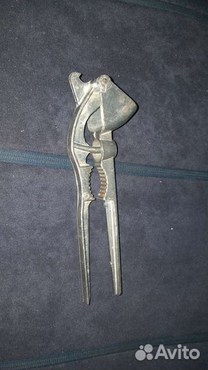 Чесночница СССР