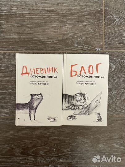 Корги детектив, Блог кота сапиенса, мой мал. Пони