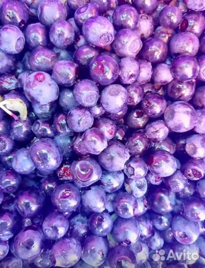 Черника свежая лесная, с доставкой