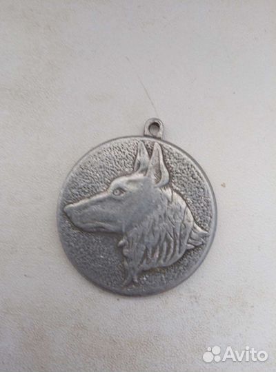 Медальон для собаки