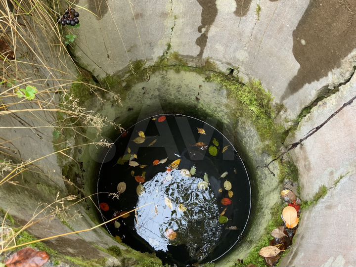 Участок 8,7 сот. (СНТ, ДНП)