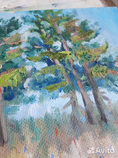 Пейзаж с соснами.Картина маслом на холсте 20\20см