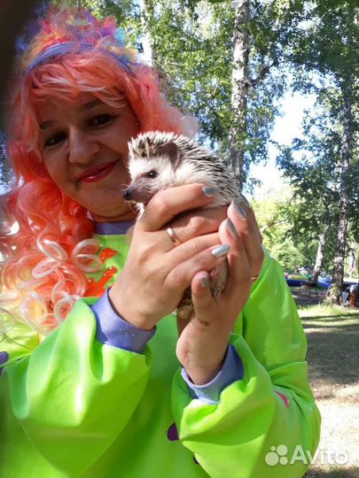 Шоу дрессированных животных и аниматоры