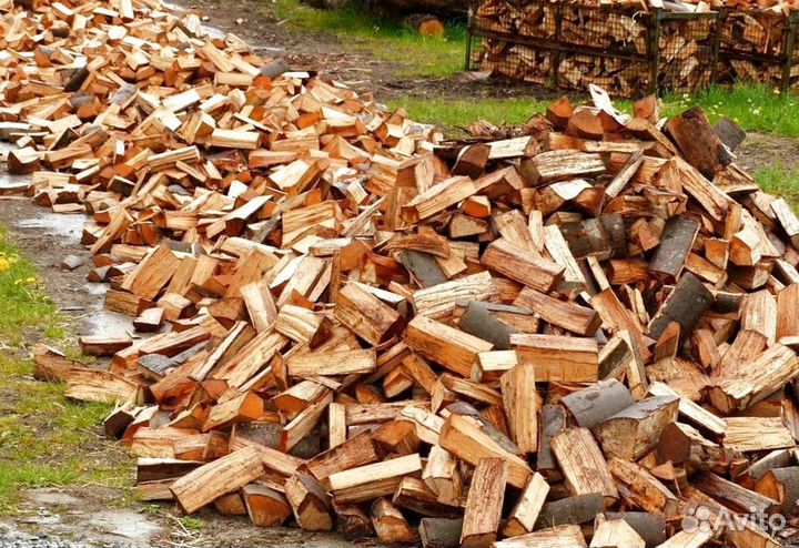 Дрова в область