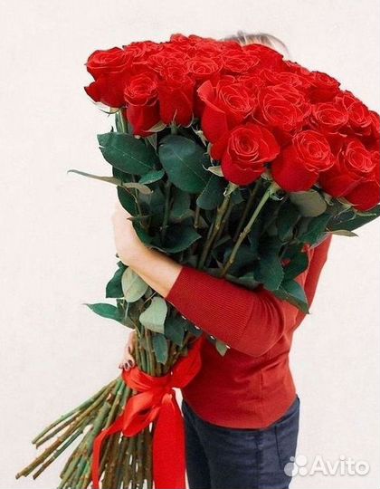 Высокие розы Гигантские розы 110