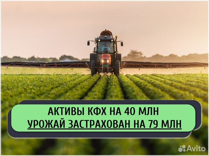 Привлекаем инвестиции в действующий бизнес