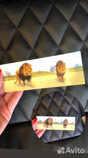 Закладки и карточки с братц,природой,цитатами