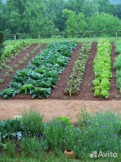 Уборка территории