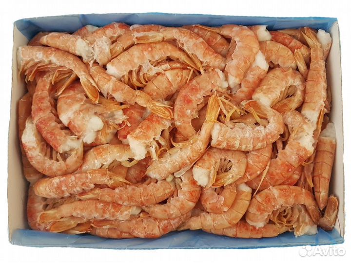 Лангустины без головы