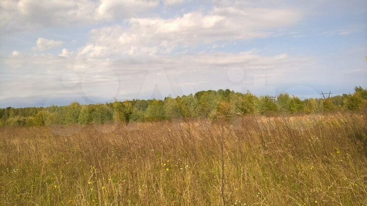 Участок 10 сот. (СНТ, ДНП)