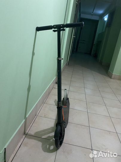 Самокат взрослый