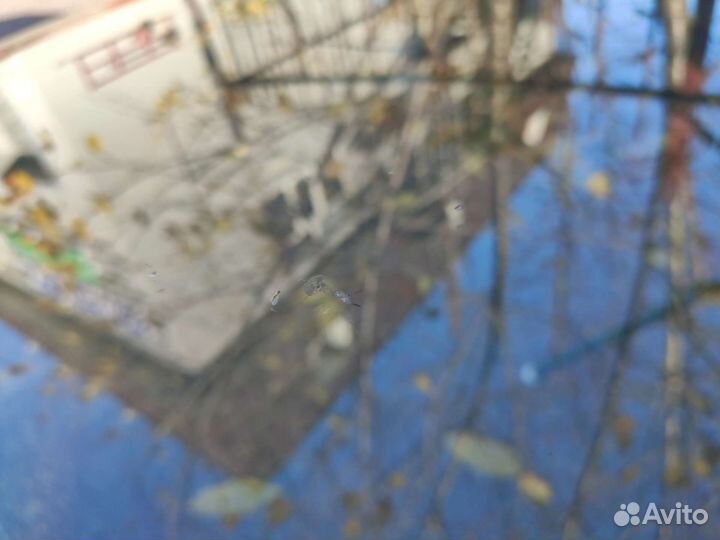 Лобовое стекло mazda cx5 17- б/у