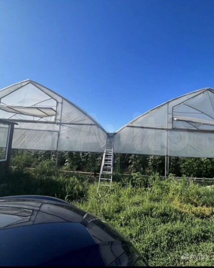 Участок 85 сот. (СНТ, ДНП)