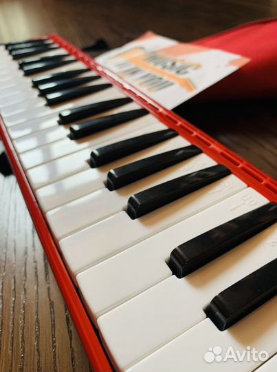 Мелодика (комплект)