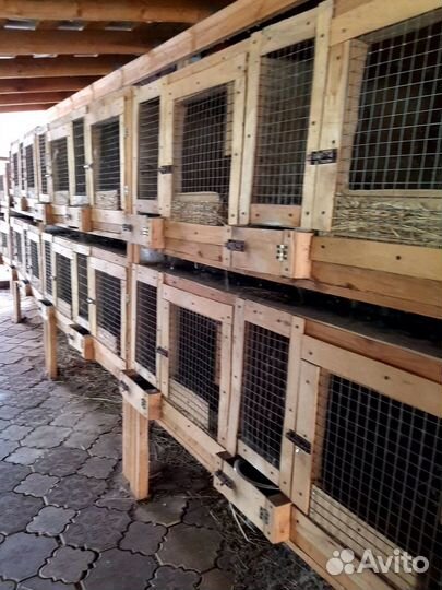 Клетки для кроликов