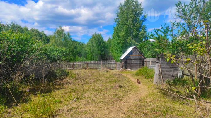 Дом 29 м² на участке 43 сот.