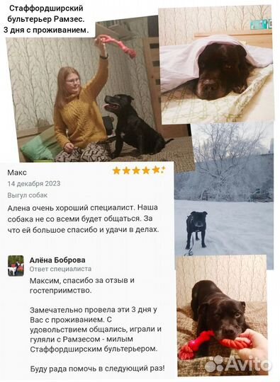 Зооняня приходящая сутки, часы, выгул, передержка