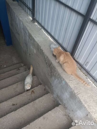 Помогите