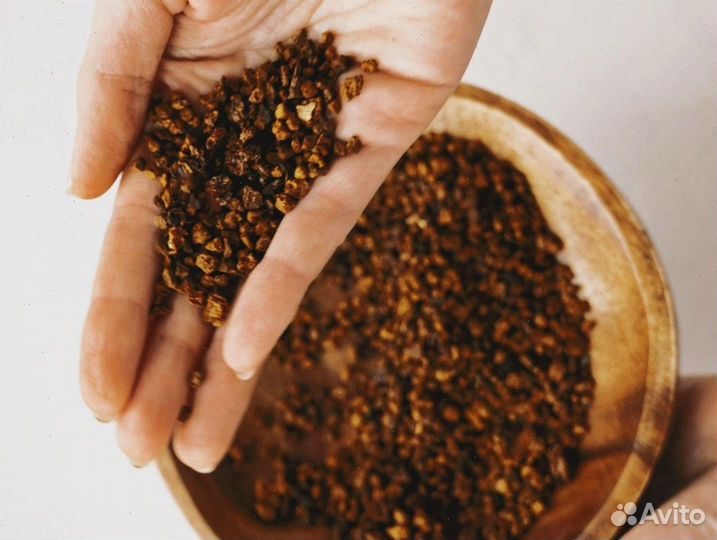 Чага сушеная опт. Любые объемы и виды