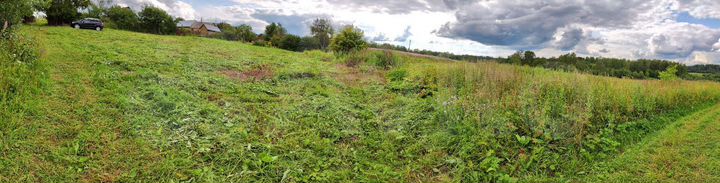 Участок 20 сот. (ИЖС)