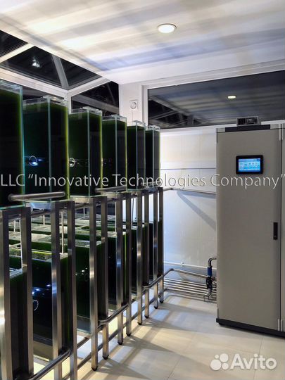 Хлорелла для очищения водоемов