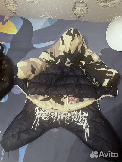 Зимняя курика для собак