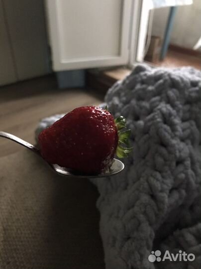 Продам рассаду клубники