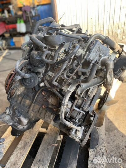 Двигатель, Nissan Navara D40 2008